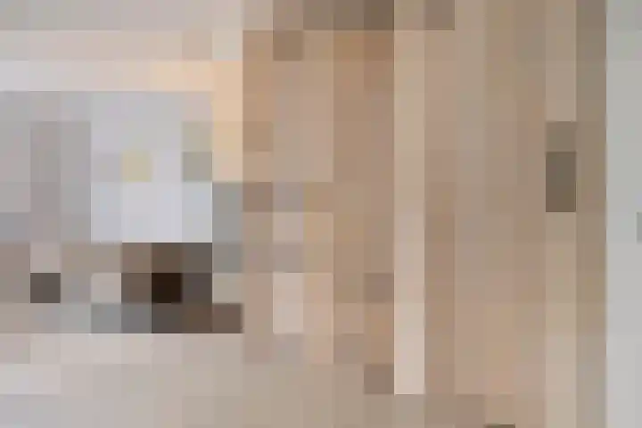 Knelisroos 7 Gemert thumbnail 13