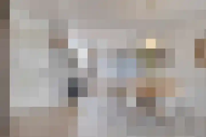 Knelisroos 7 Gemert thumbnail 18