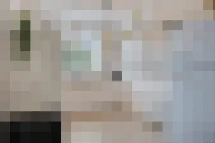 Knelisroos 7 Gemert thumbnail 19