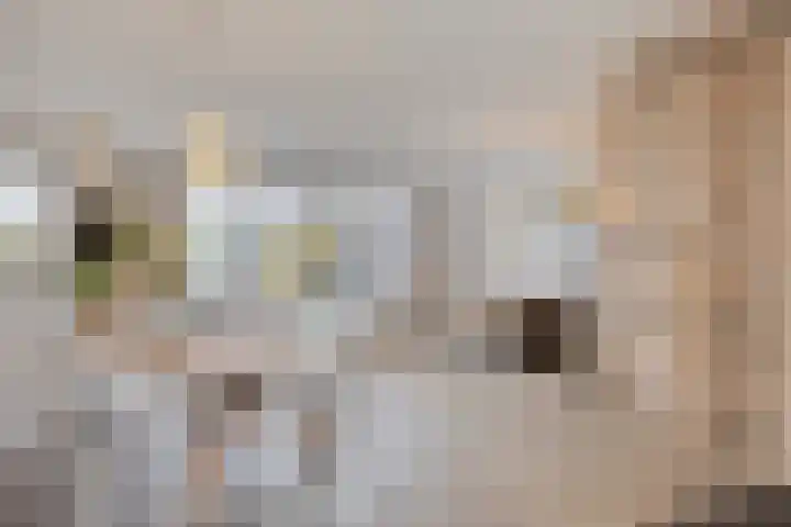 Knelisroos 7 Gemert thumbnail 22