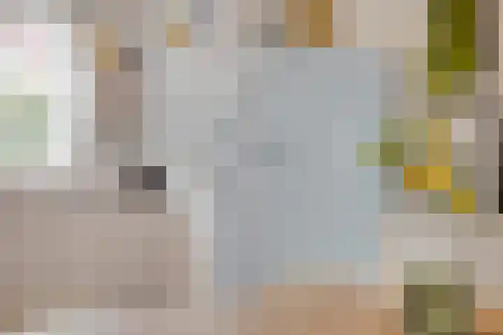 Knelisroos 7 Gemert thumbnail 24