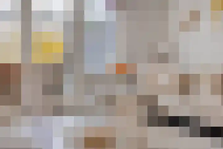 Knelisroos 7 Gemert thumbnail 25