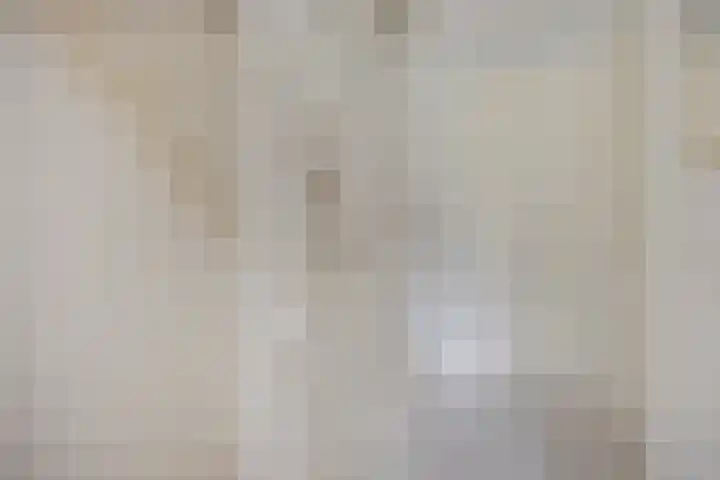 Knelisroos 7 Gemert thumbnail 26