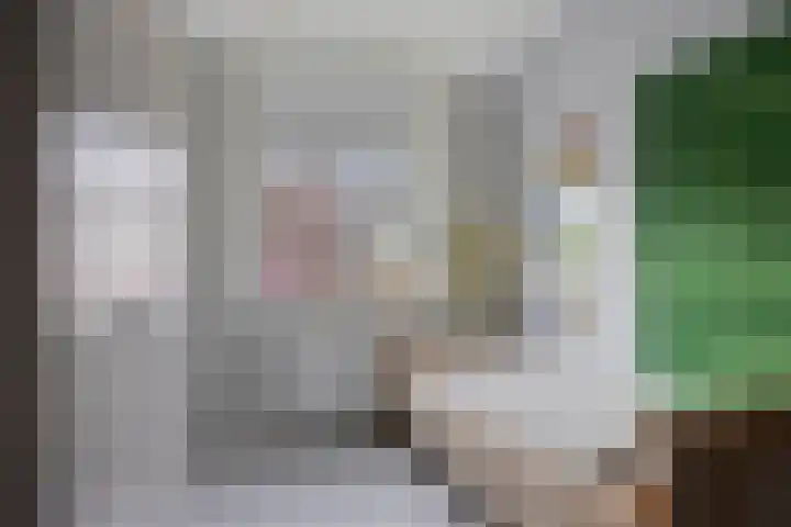 Knelisroos 7 Gemert thumbnail 30