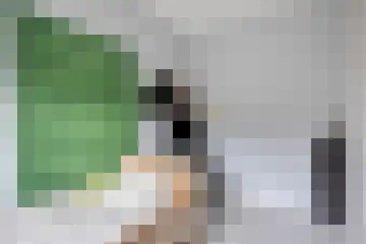 Knelisroos 7 Gemert thumbnail 31