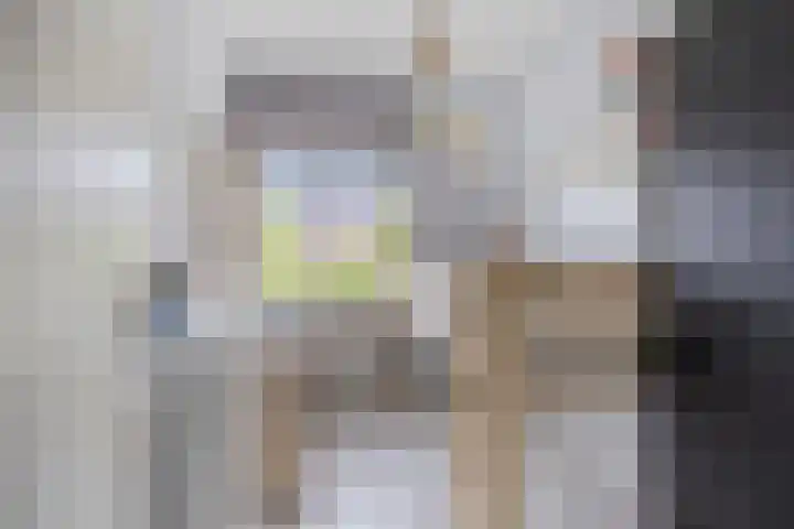 Knelisroos 7 Gemert thumbnail 32