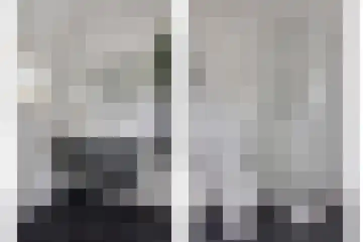 Knelisroos 7 Gemert thumbnail 34