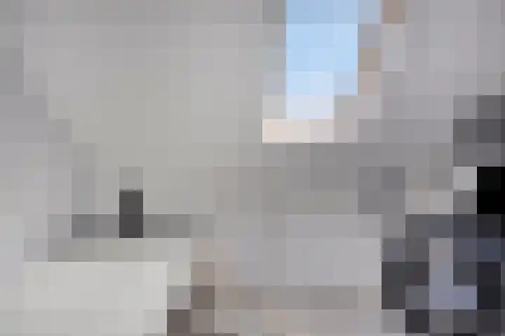 Knelisroos 7 Gemert thumbnail 39