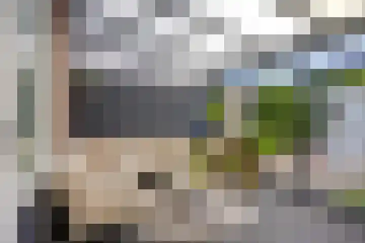 Knelisroos 7 Gemert thumbnail 40