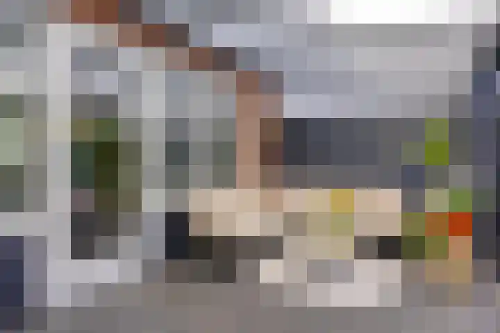 Knelisroos 7 Gemert thumbnail 41