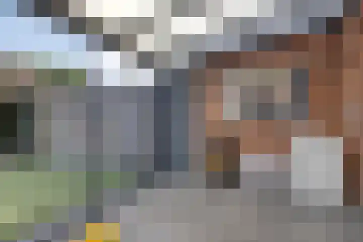 Knelisroos 7 Gemert thumbnail 42