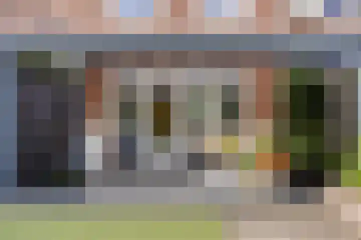 Knelisroos 7 Gemert thumbnail 43