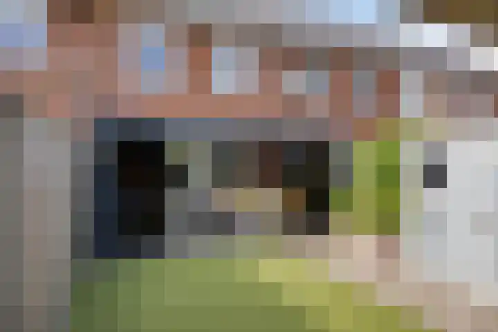 Knelisroos 7 Gemert thumbnail 44