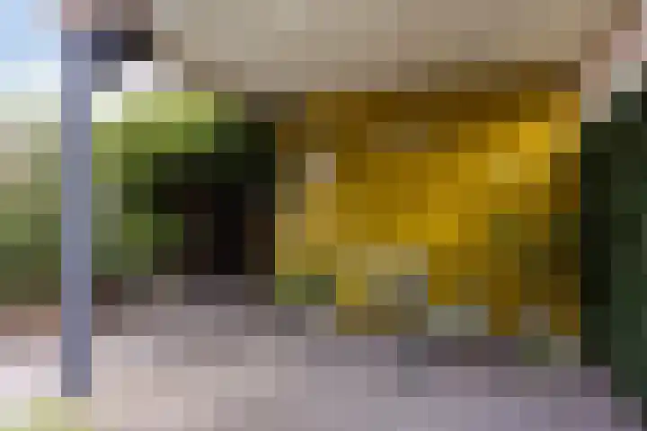 Knelisroos 7 Gemert thumbnail 46