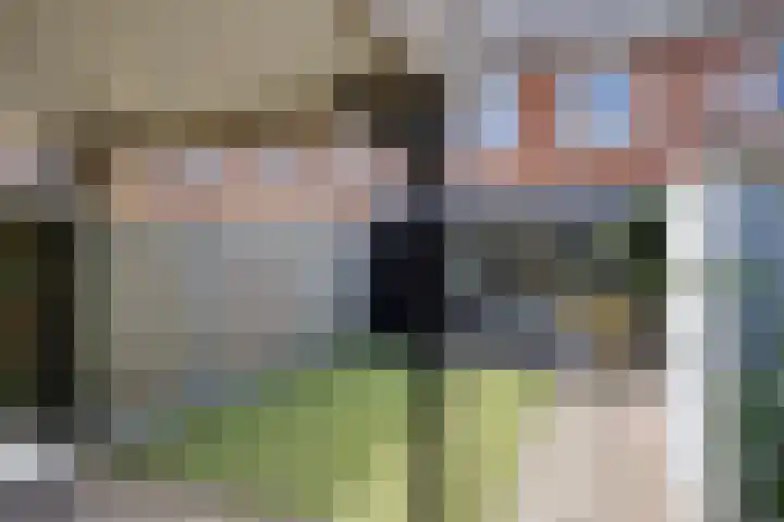 Knelisroos 7 Gemert thumbnail 5