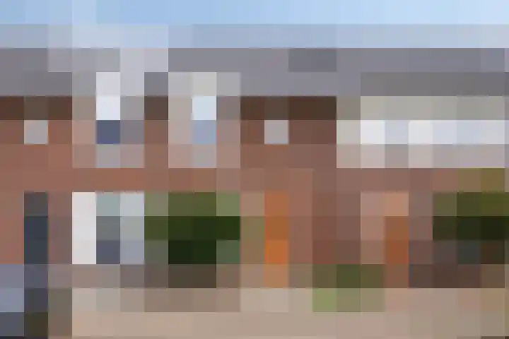 Knelisroos 7 Gemert thumbnail 56
