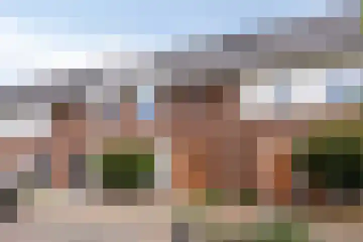 Knelisroos 7 Gemert thumbnail 7