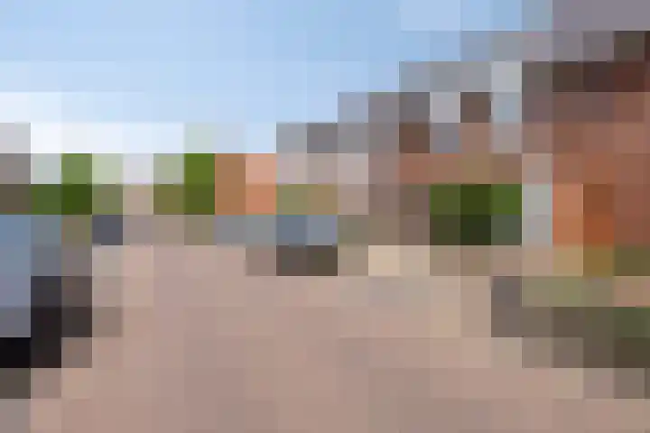Knelisroos 7 Gemert thumbnail 8