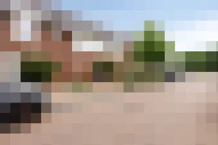 Knelisroos 7 Gemert thumbnail 9