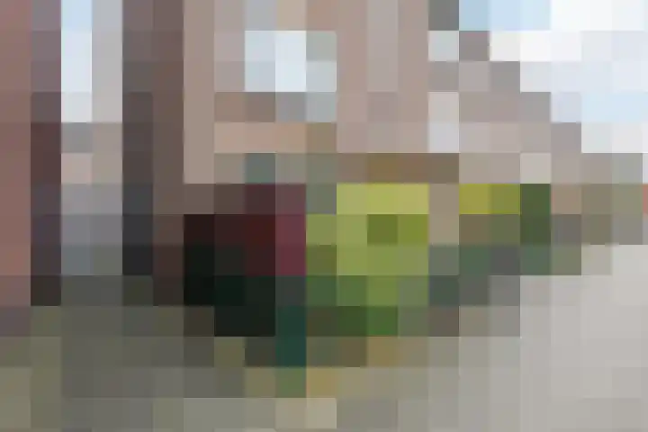 Kneppelhoutstraat 15 BSA Utrecht thumbnail 5