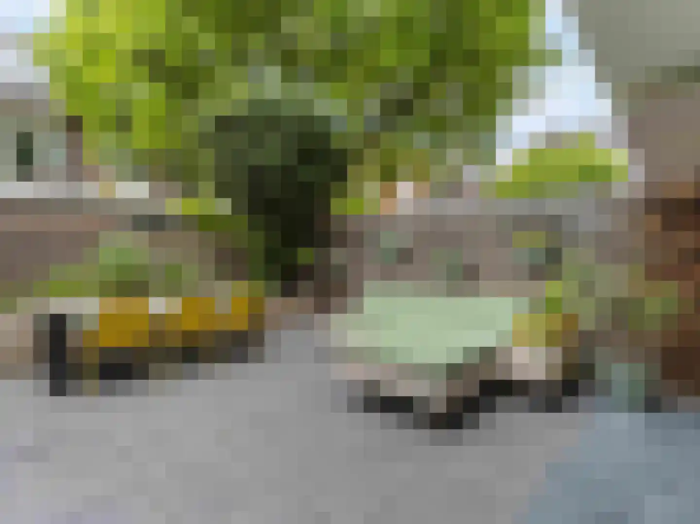 Kneppelhoutstraat 20 Utrecht thumbnail 17