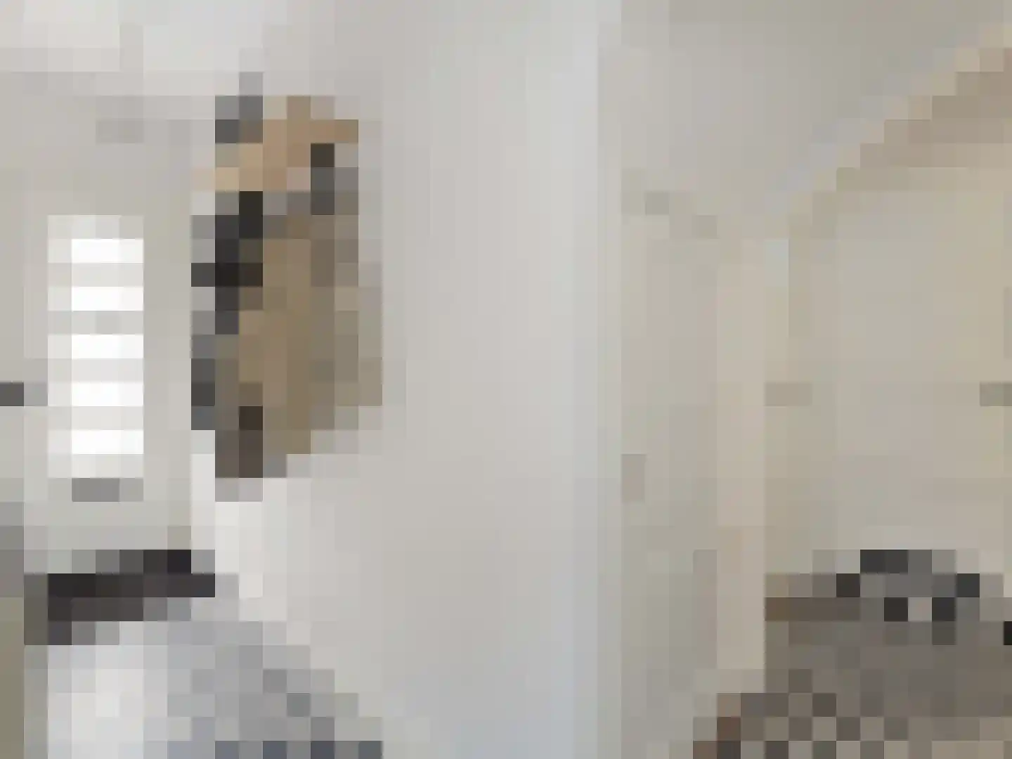 Kneppelhoutstraat 20 Utrecht thumbnail 25