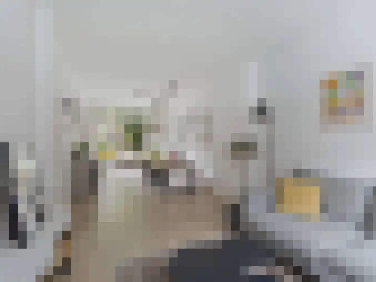 Kneppelhoutstraat 20 Utrecht thumbnail 6