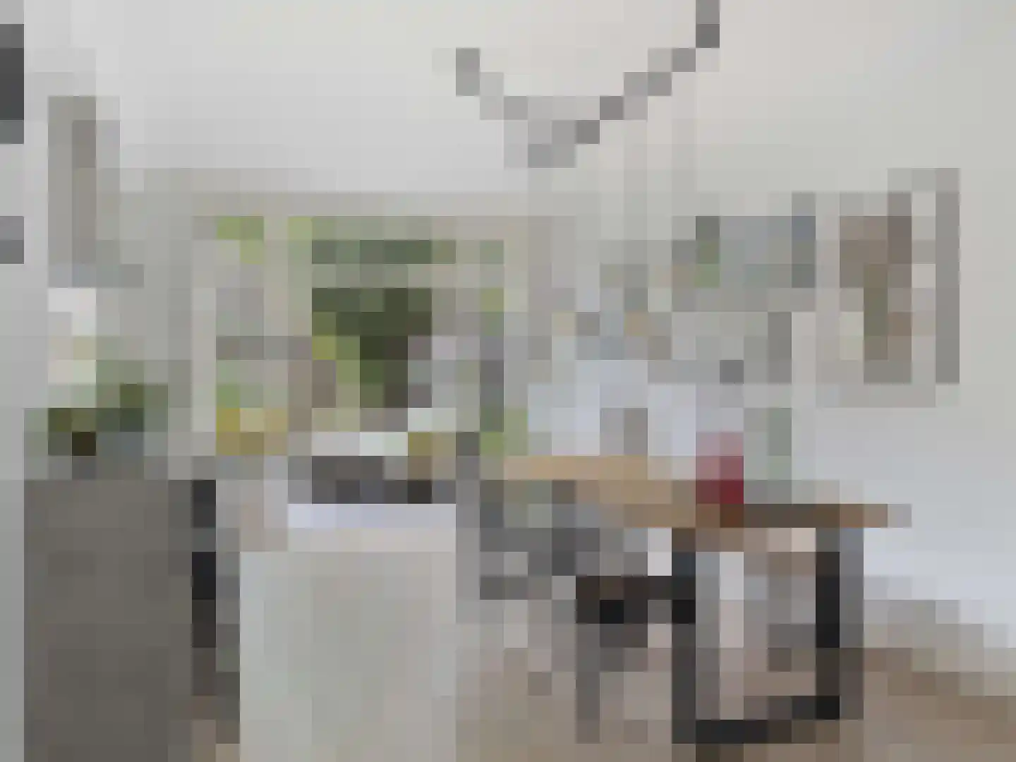 Kneppelhoutstraat 20 Utrecht thumbnail 8