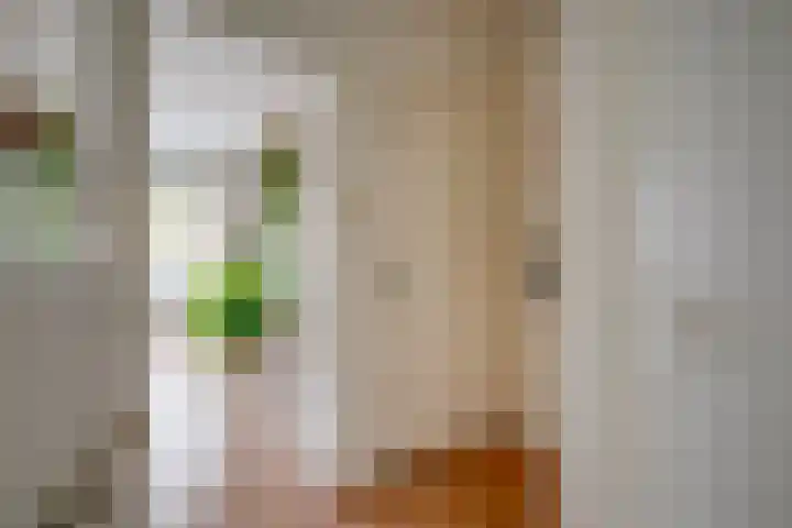 Kneppelhoutstraat 21 BS Utrecht thumbnail 9