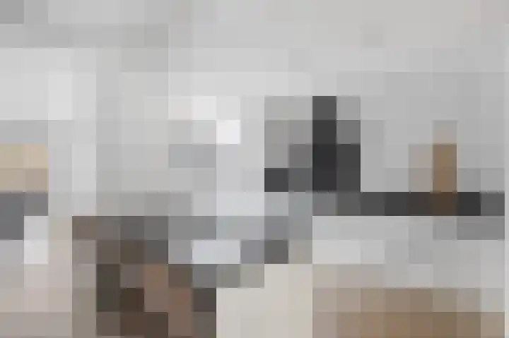 Kneppelhoutstraat 6 Eindhoven thumbnail 17