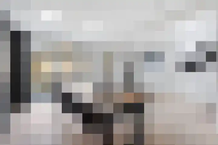 Kneppelhoutstraat 6 Eindhoven thumbnail 22