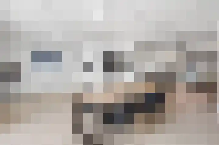 Kneppelhoutstraat 6 Eindhoven thumbnail 23