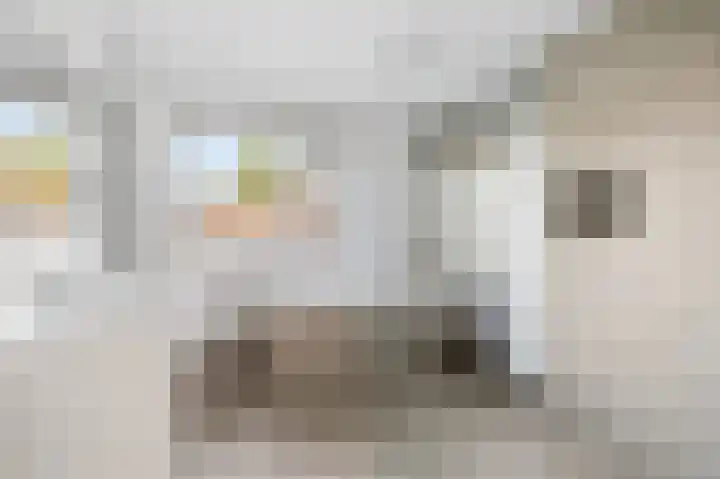Kneppelhoutstraat 6 Eindhoven thumbnail 5