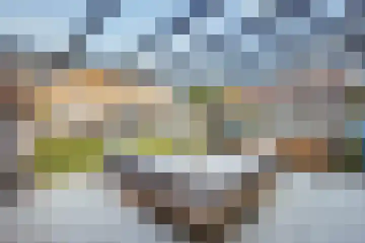 Kneppelhoutstraat 6 Eindhoven thumbnail 6