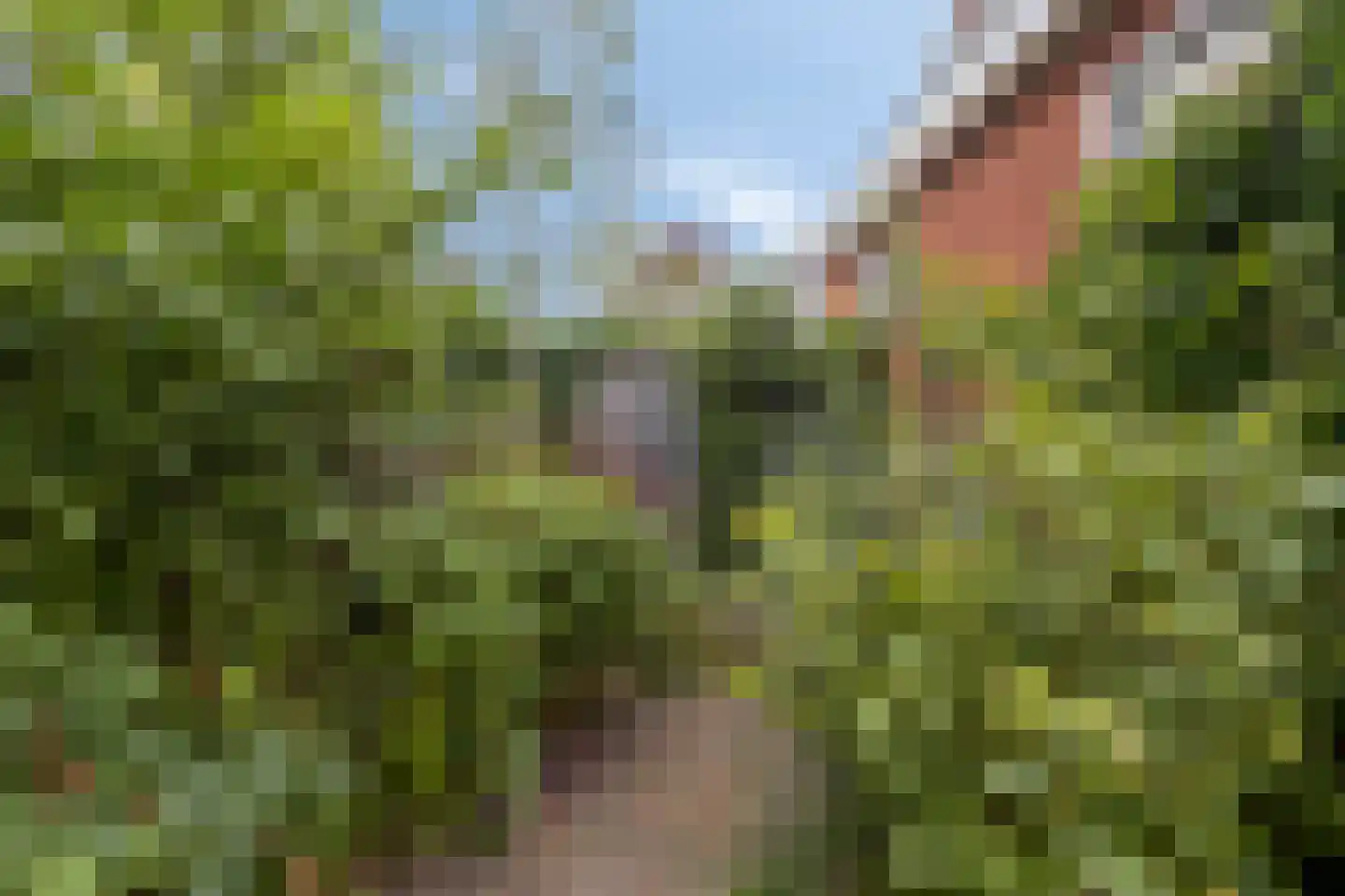 Kneppelweide 19 Alkmaar thumbnail 27
