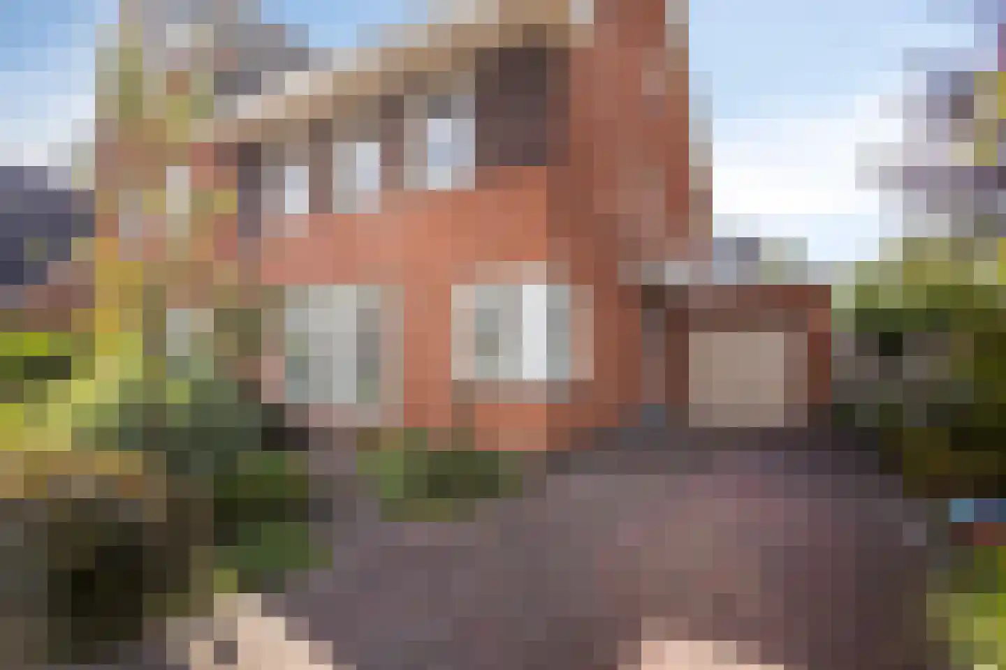 Kneppelweide 19 Alkmaar thumbnail 5