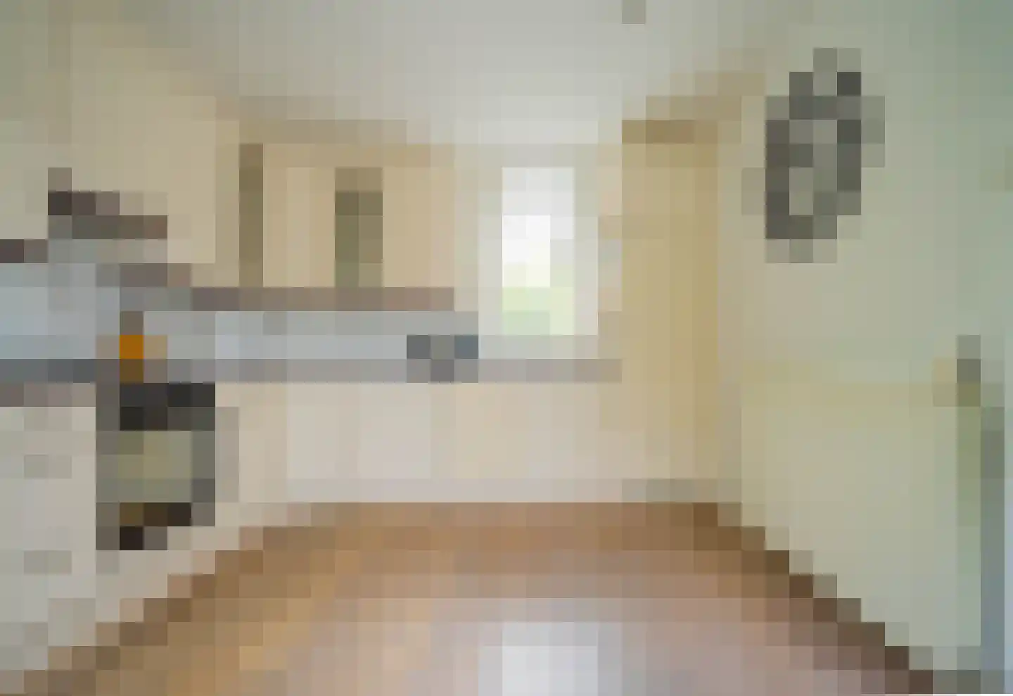 Kneustraat 11 Helmond thumbnail 18