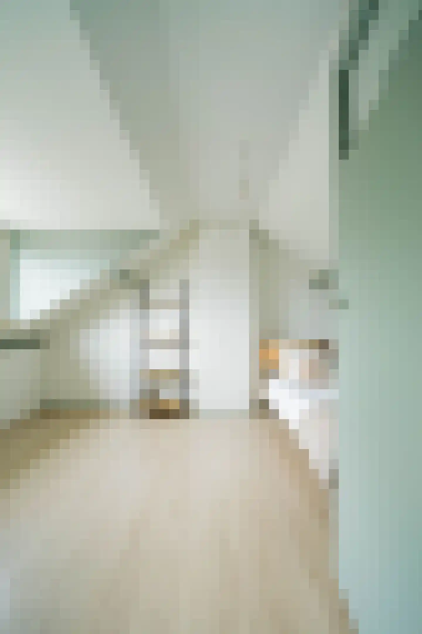 Kneustraat 11 Helmond thumbnail 34