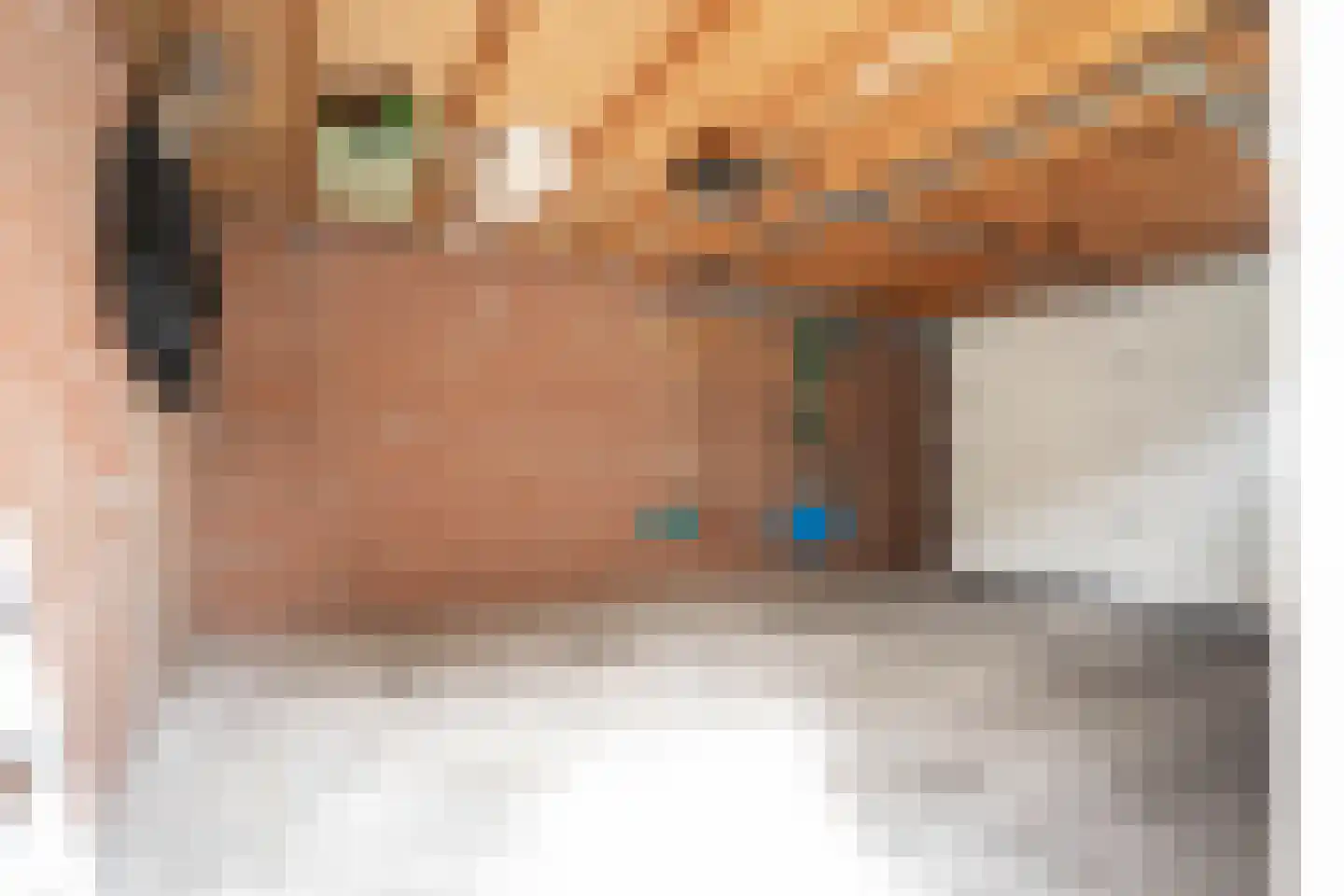 Kneustraat 11 Helmond thumbnail 47