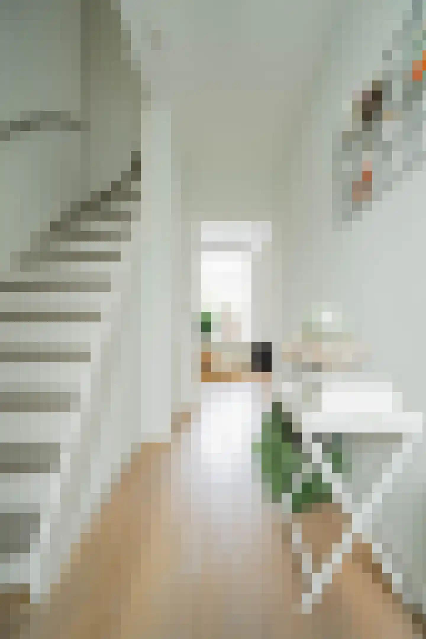 Kneustraat 11 Helmond thumbnail 9