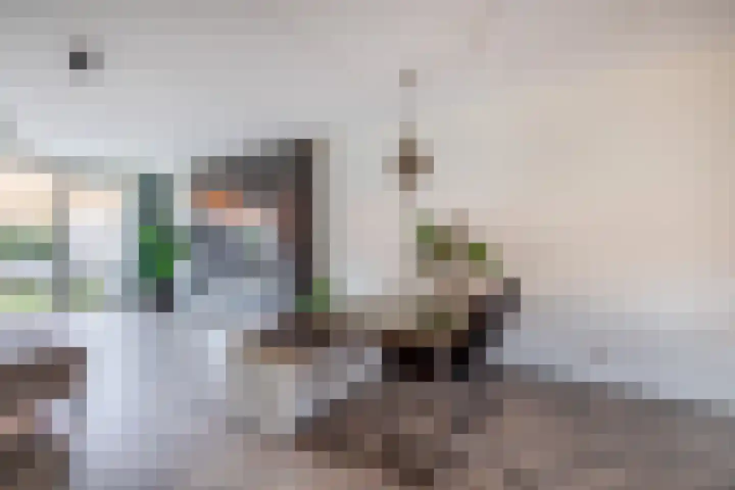 Kneuterdijkstraat 11 Zevenhuizen thumbnail 10
