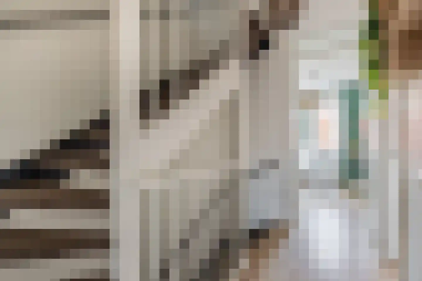 Kneuterdijkstraat 11 Zevenhuizen thumbnail 17