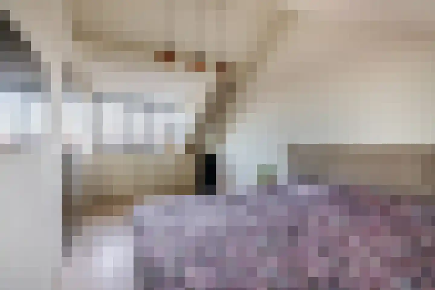 Kneuterdijkstraat 11 Zevenhuizen thumbnail 18