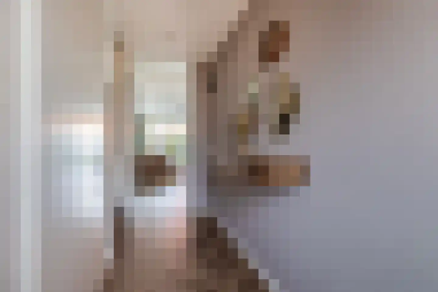 Kneuterdijkstraat 11 Zevenhuizen thumbnail 6