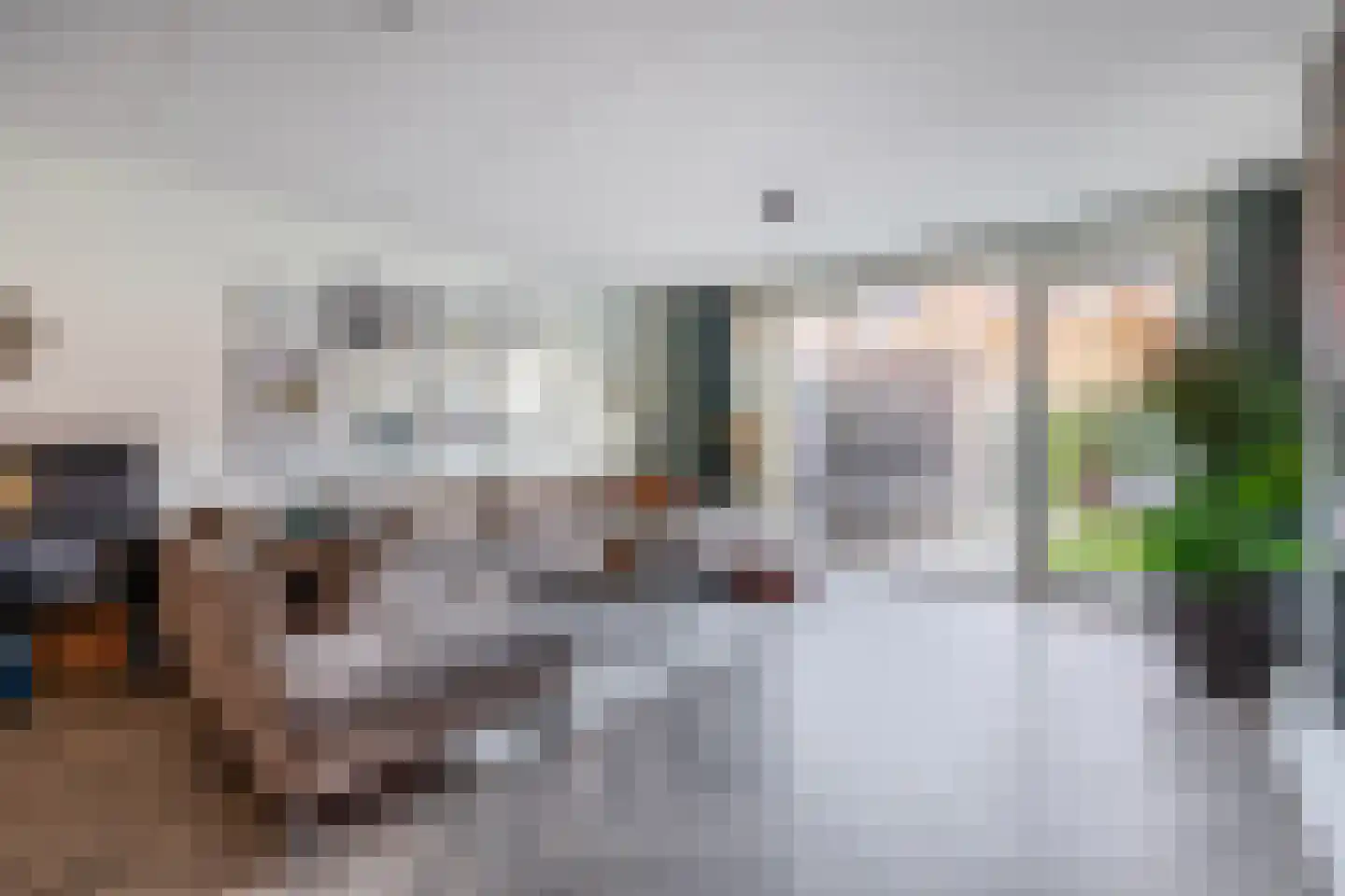 Kneuterdijkstraat 11 Zevenhuizen thumbnail 7