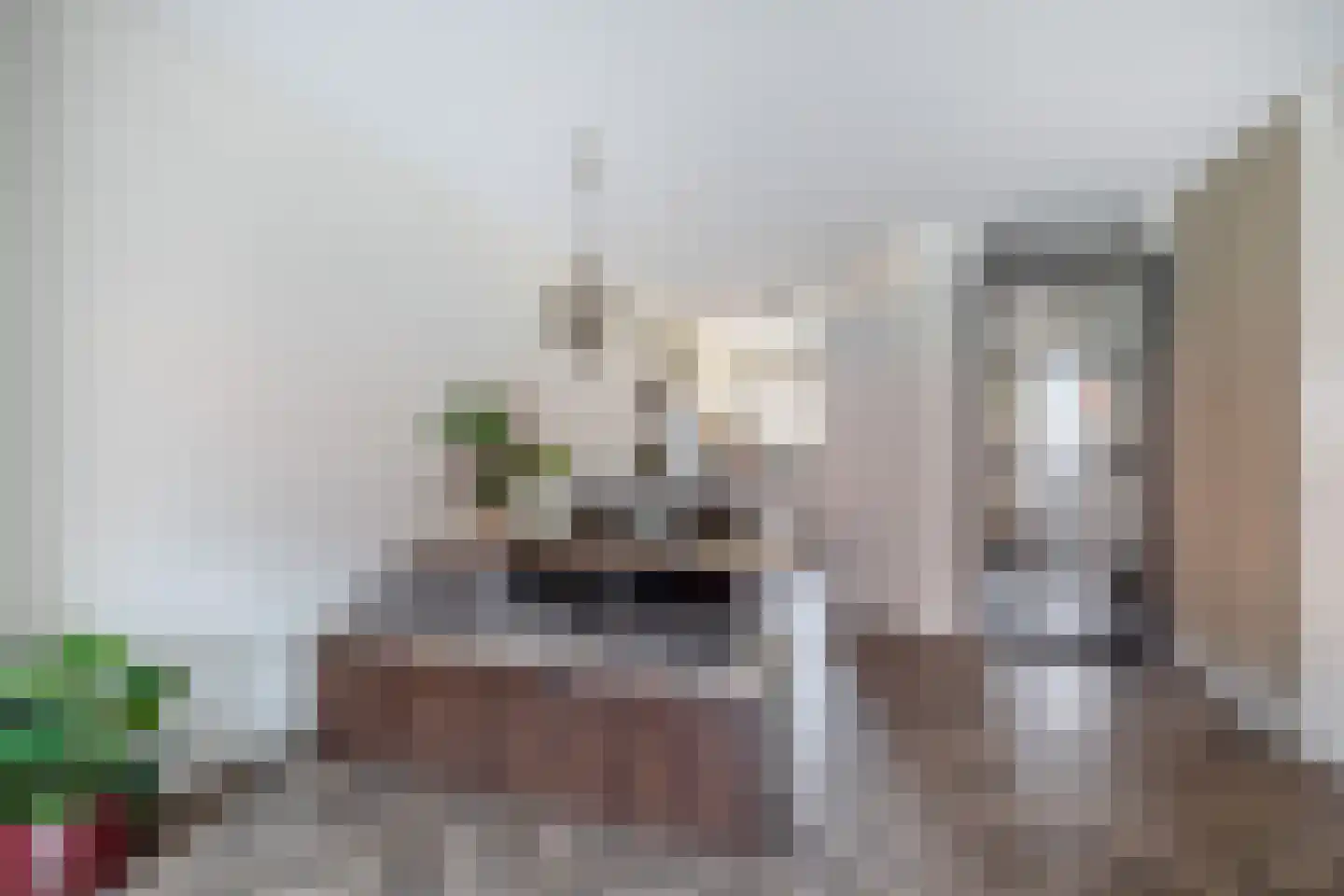 Kneuterdijkstraat 11 Zevenhuizen thumbnail 8