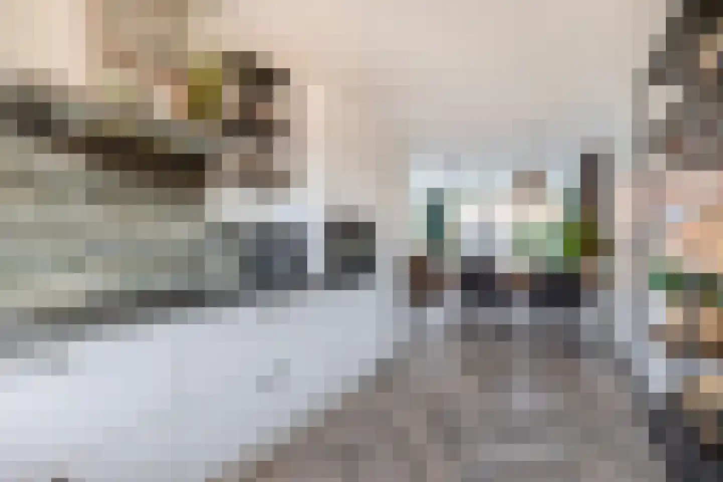 Kneuterdijkstraat 11 Zevenhuizen thumbnail 9