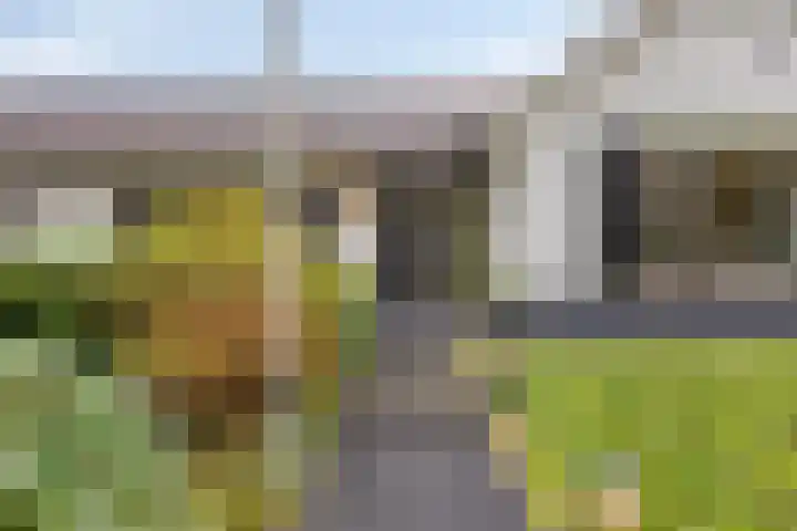 Kneuterstraat 30 Wilp thumbnail 10