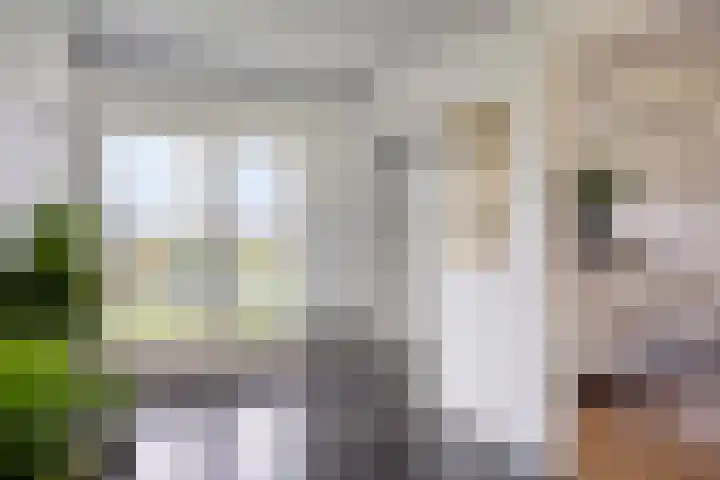 Kneuterstraat 30 Wilp thumbnail 11