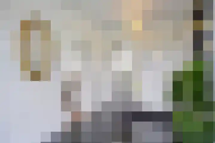 Kneuterstraat 30 Wilp thumbnail 13